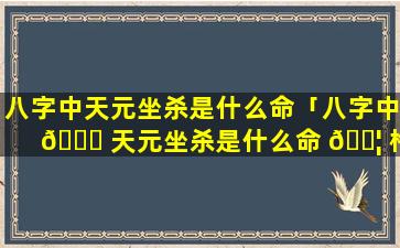 八字中天元坐杀是什么命「八字中 🐞 天元坐杀是什么命 🐦 格」
